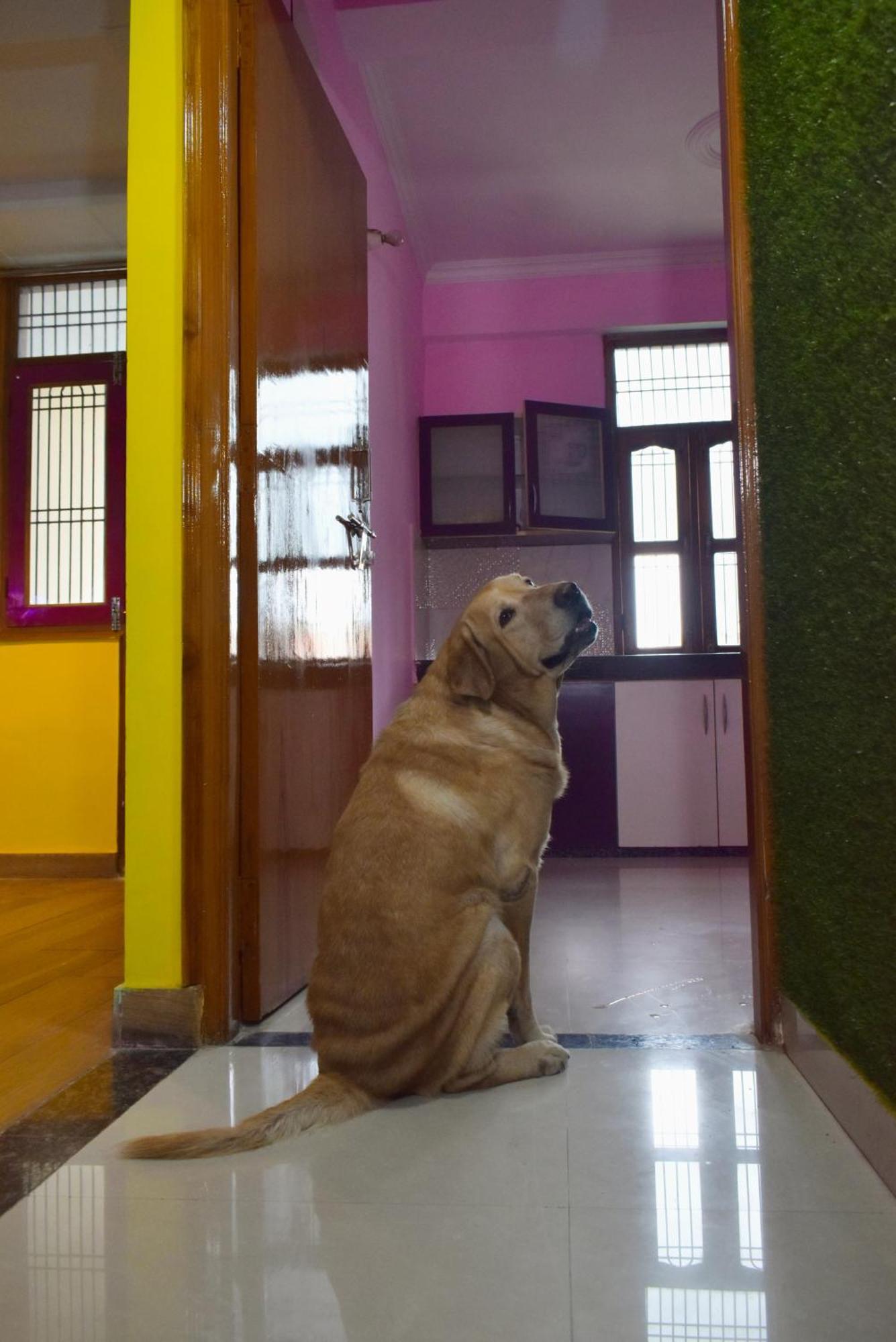 Apartment Annapurna *
